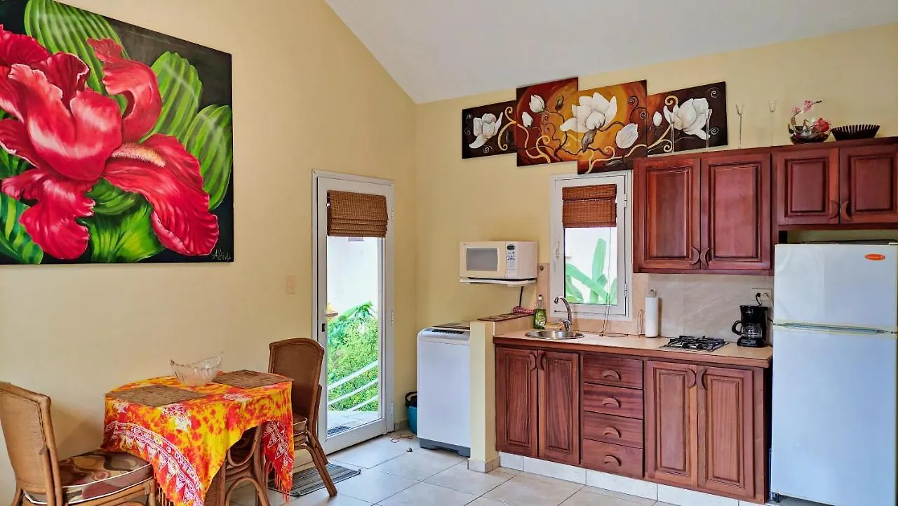 Ocean Dream 1St See Line Studio Cabarete