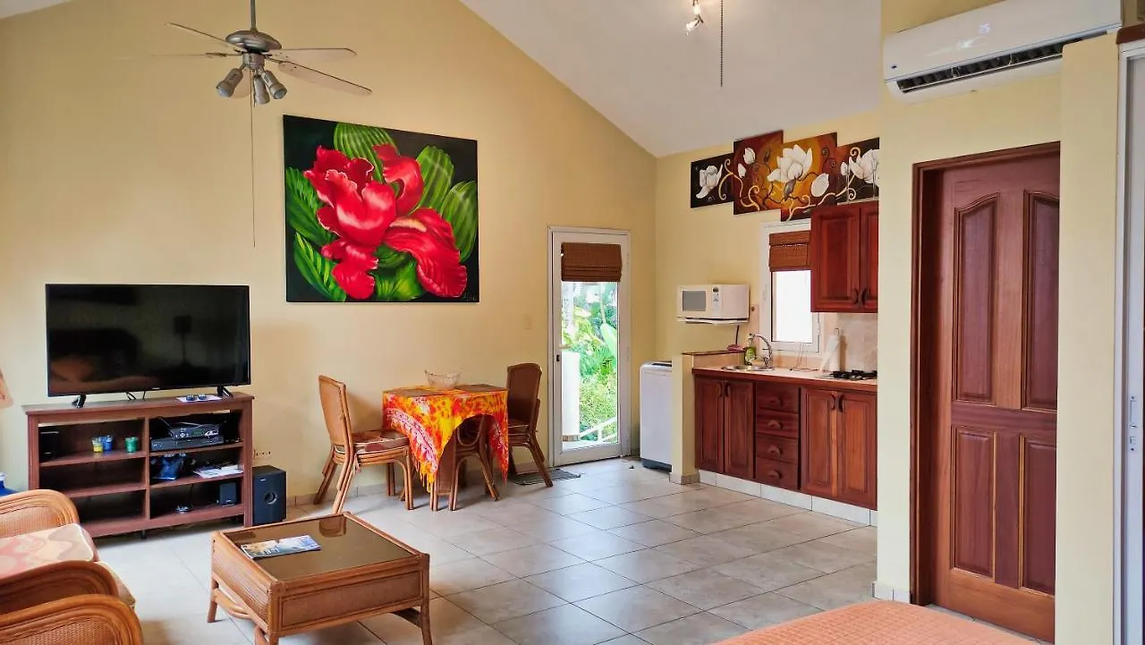 Ocean Dream 1St See Line Studio Cabarete Repubblica Dominicana